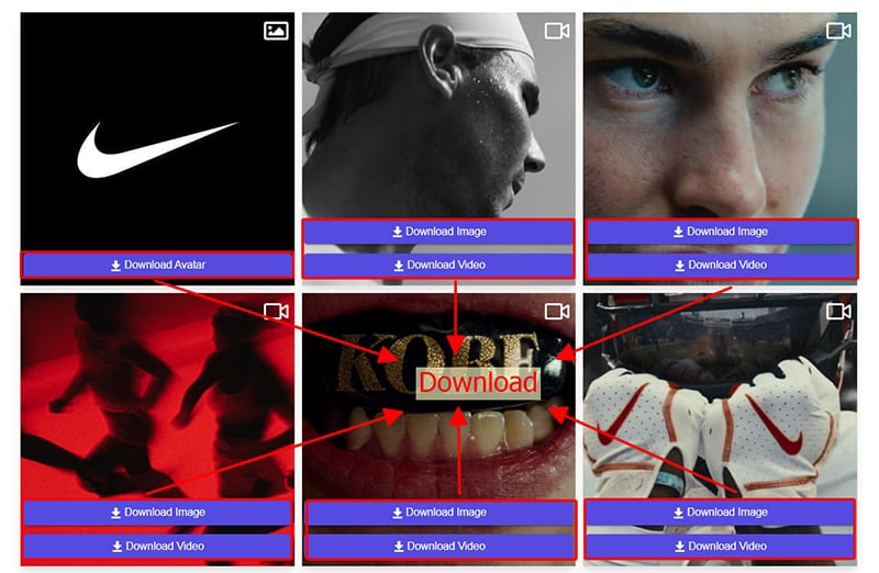 instagram downloader by snapinsta