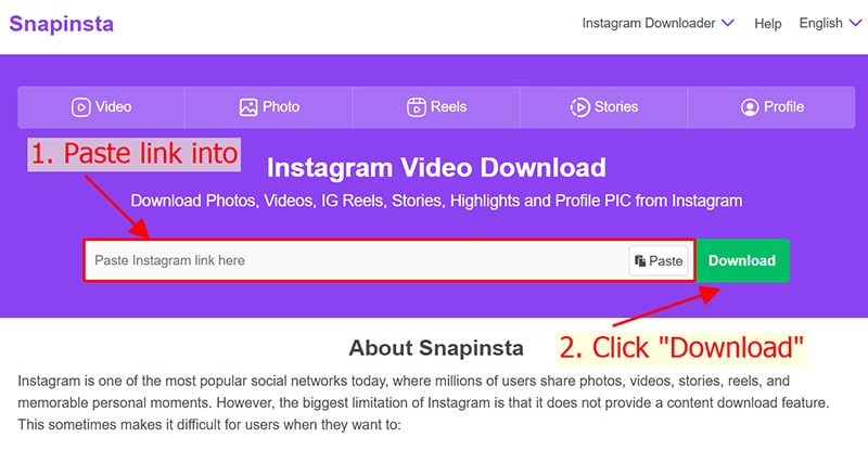 paste link instagram to snapinsta